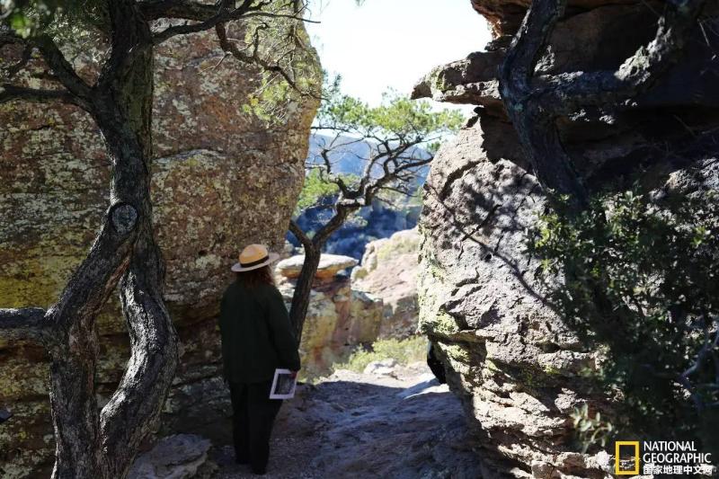 自驾游西部世界,这条世界级的自驾公路