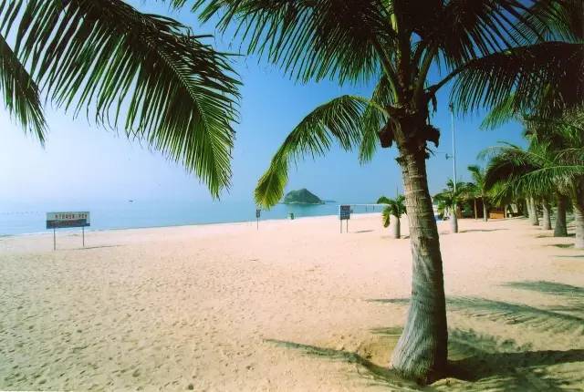 冬天的大亚湾,惠州大亚湾夏天的真实感受