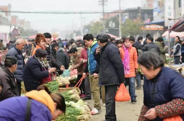 曹妃甸新城赶集,唐山曹妃甸区赶集表大全