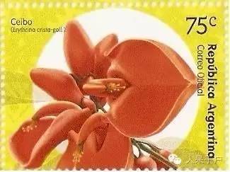 涓浗鍥借姳澶ц祻鍥剧墖,鍥借姳澶ц祻浜氭床鍥剧墖