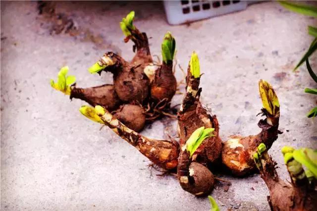 天津淘宝街搬哪去了,天津淘宝街地址有哪些