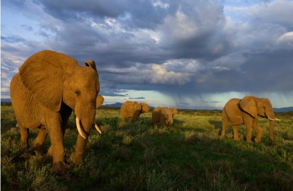 长隆攻略水上乐园和大马戏,广州长隆动物世界旅游攻略