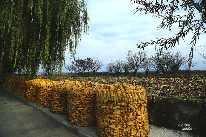 农村生活收纳箱,农村粮食收纳仓