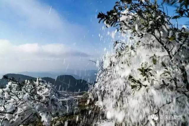 成都洗肺空气好的地方,去雾霾洗肺的地方