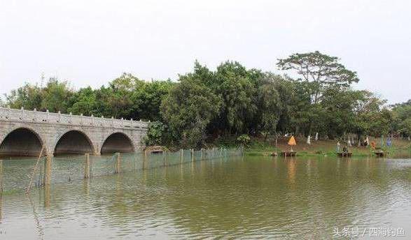 调漂找底最佳方法最新视频,不找底平水调漂的正确方法