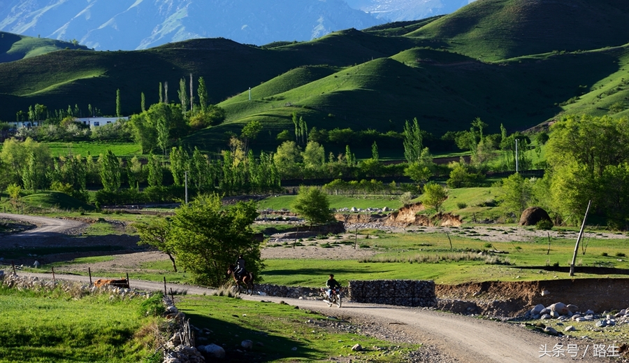 少数民族首领在头衔上加哪三个字，说明自己是“中国的”？