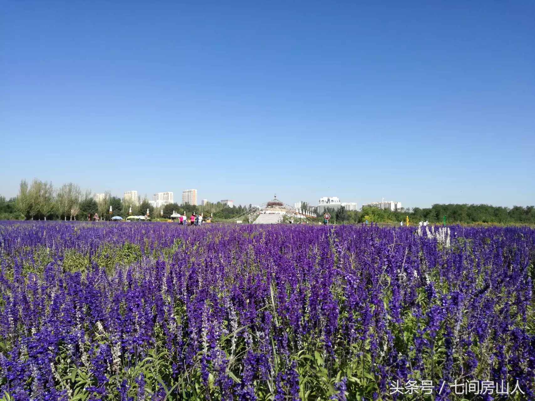 人在旅途四川成都,人在旅途四川