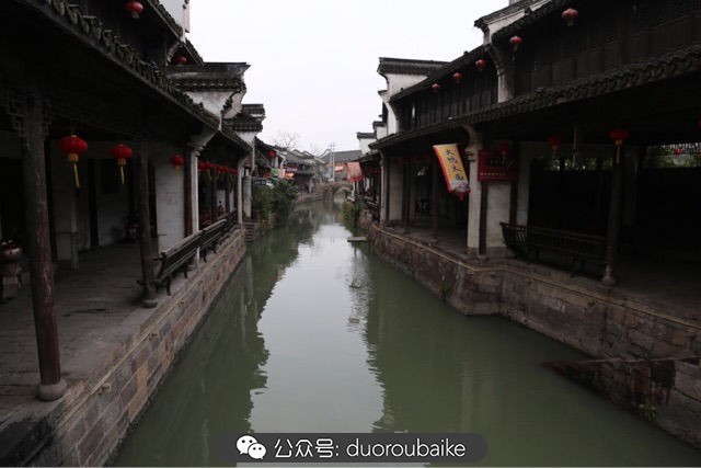 古镇寻肉记：那些旅行中遇见的植物！