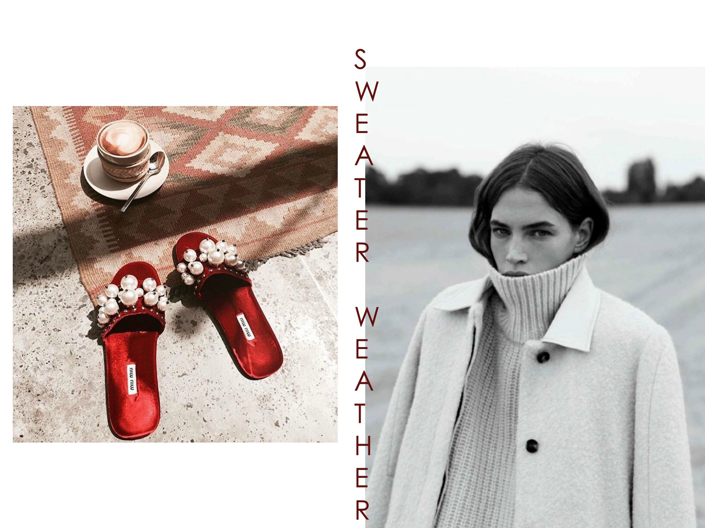 20条干货2018,2021年的干货分享博主有哪些