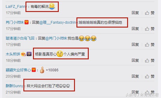 刘诗雯夺冠央视解说,刘诗雯世乒赛女单冠军惹争议