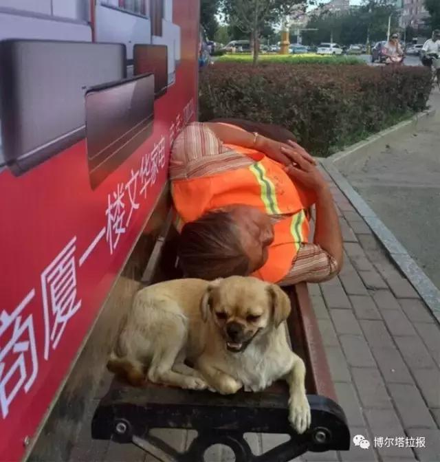 影像记忆资料,影像记忆与群体历史