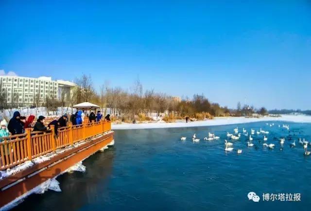 影像记忆资料,影像记忆与群体历史