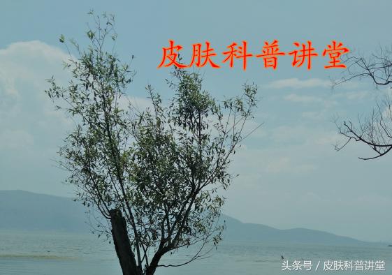 皮肤科医生毛孔粗大有黑头,黑头毛孔粗大看皮肤科有用吗