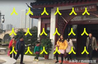 苏州的好看的东西,苏州vs纽约