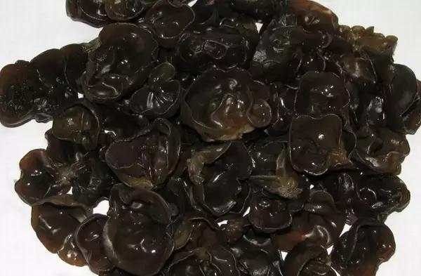 来正定过大年,来葛仙山过大年