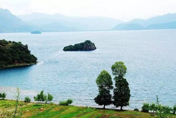 丽江美食攻略全集,丽江象山市场美食攻略