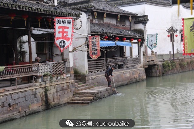 古镇寻肉记：那些旅行中遇见的植物！