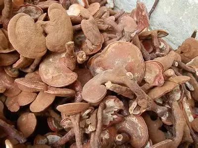 来正定过大年,来葛仙山过大年