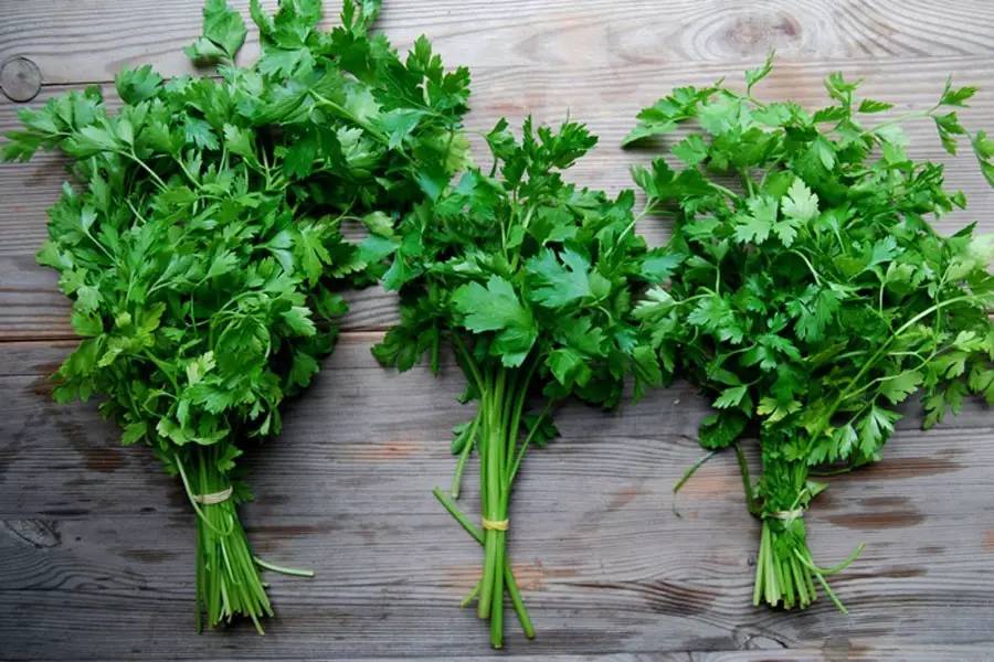 小茴香黑胡椒孜然配方,黑胡椒孜然小茴香