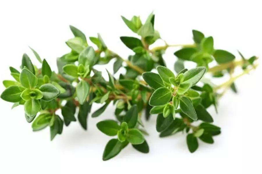 小茴香黑胡椒孜然配方,黑胡椒孜然小茴香