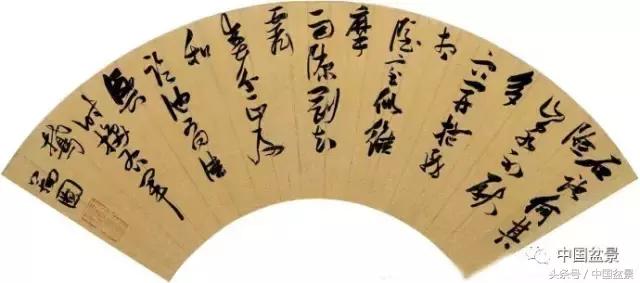 扇面文化与松柏盆景艺术欣赏