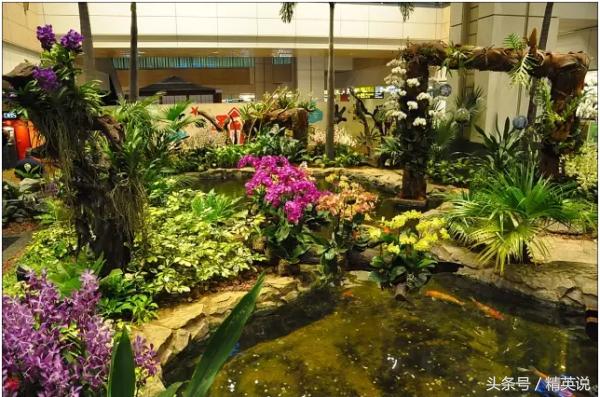 大兴国际机场免税店购物攻略,十大机场免税店品牌