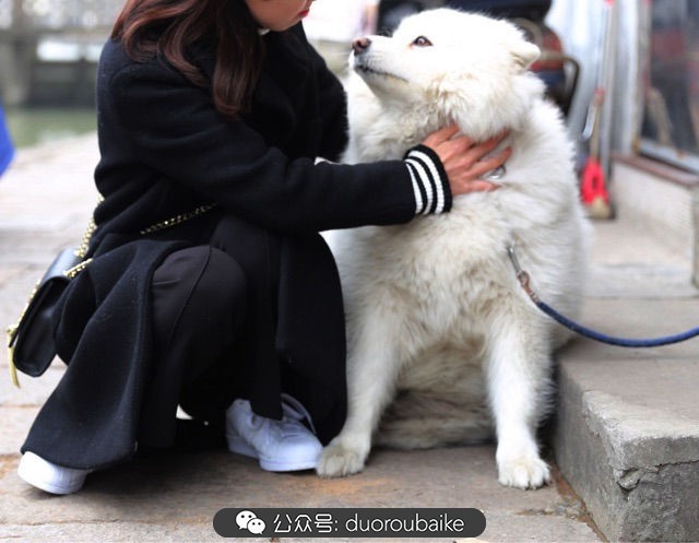 古镇寻肉记：那些旅行中遇见的植物！