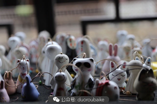 古镇寻肉记：那些旅行中遇见的植物！