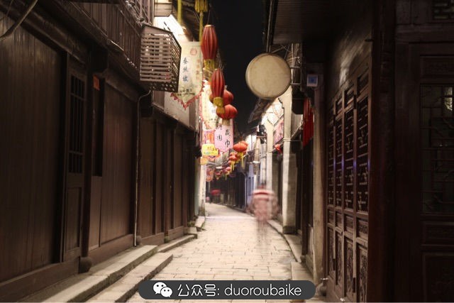 古镇寻肉记：那些旅行中遇见的植物！