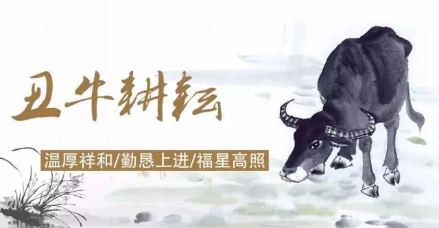 看十二生肖的运气和姻缘,2017十二生肖财运组合