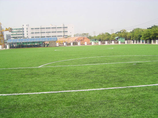 足球疯狂球迷视频,足球疯狂球迷冲场庆祝