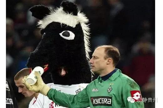 别喷春晚了，来看吉祥物开心开心！