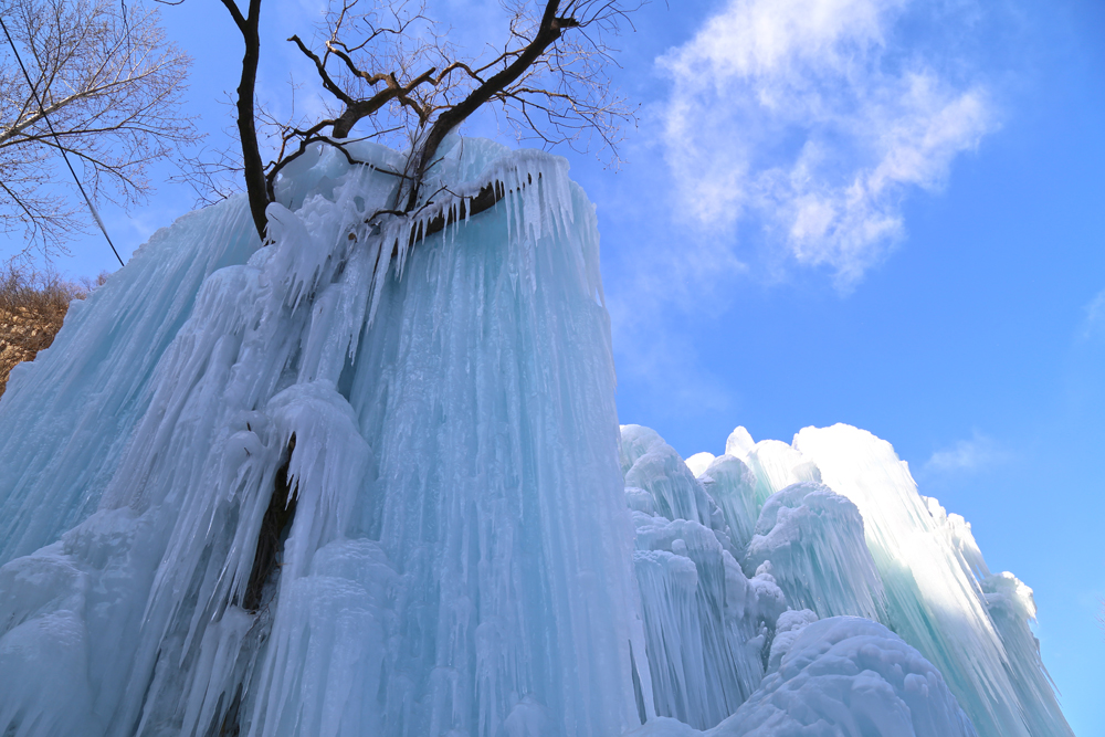 沕沕水冰瀑冰灯特价票,沕沕水景区冰灯需要门票吗