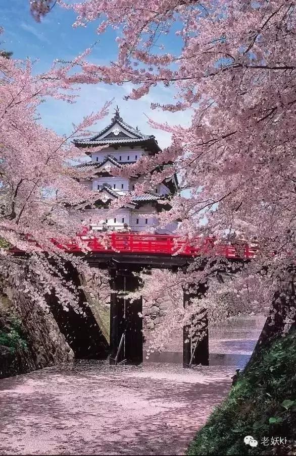 2018最值得去的九个地方,2018年最值得去的旅游省份