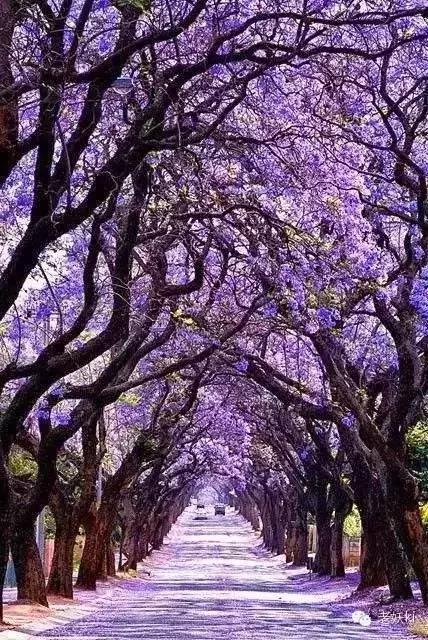 2018最值得去的九个地方,2018年最值得去的旅游省份