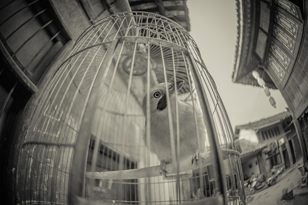 元通清明上河图,元洪城清明上河图在几楼