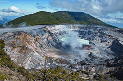 哥斯达黎加有哪些红色的花,哥斯达黎加月季花