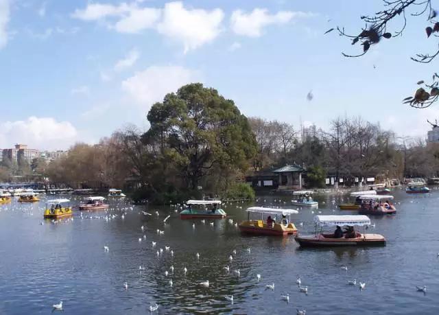 哪里飞武汉机票最便宜,飞武汉机票降价