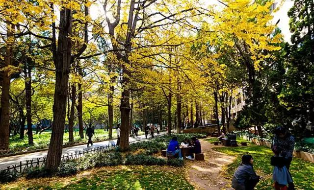 哪里飞武汉机票最便宜,飞武汉机票降价