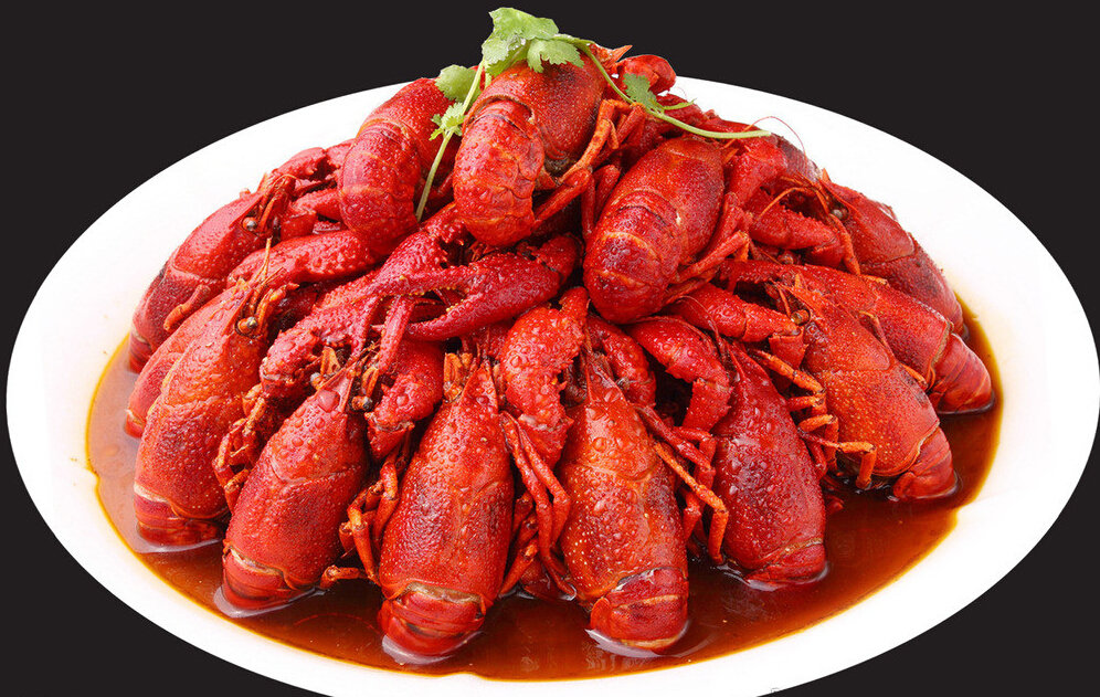 猫咪和小龙虾,猫和小龙虾之间的对决