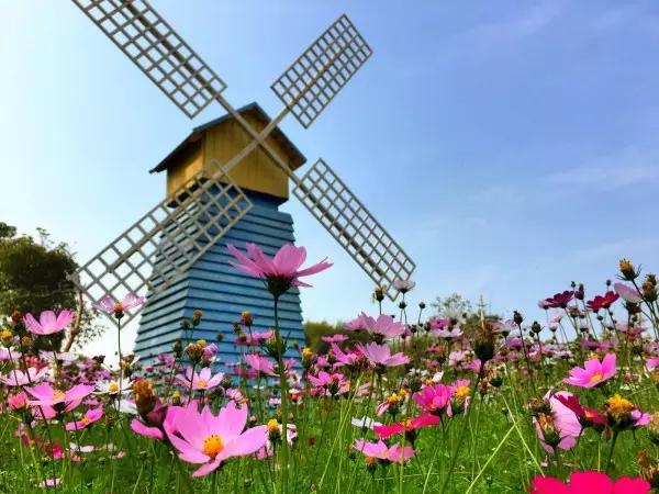 从东莞出发,不到两小时,就可以感受到靓爆灯的童话世界！