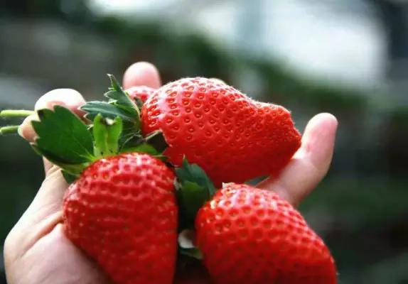 从东莞出发,不到两小时,就可以感受到靓爆灯的童话世界！