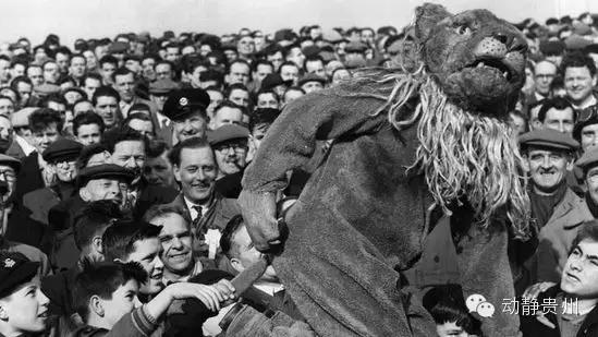 别喷春晚了，来看吉祥物开心开心！