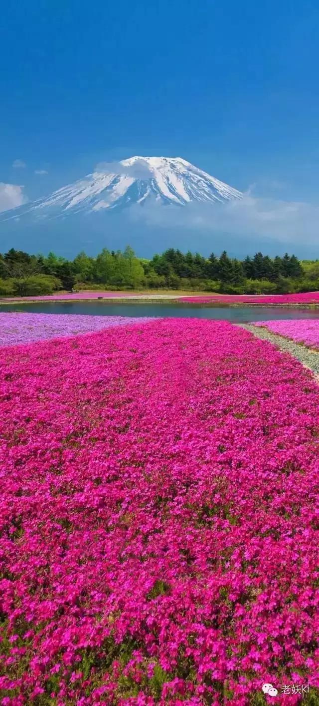 2018最值得去的九个地方,2018年最值得去的旅游省份