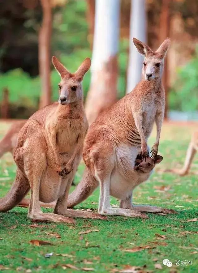 2018最值得去的九个地方,2018年最值得去的旅游省份