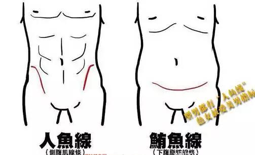 星爷美人鱼好看吗,评价星爷的美人鱼