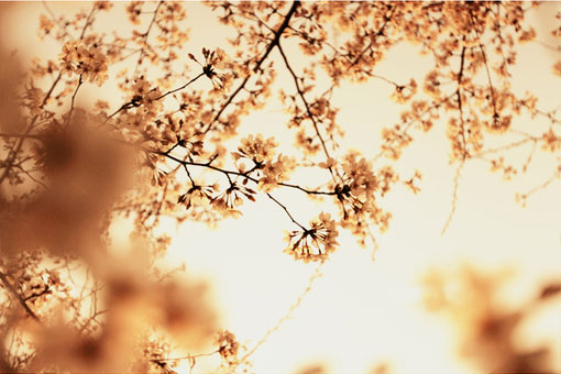 同学集会被刺激虚荣的她做了老板*妇情**，丈夫的举动让她决定回头