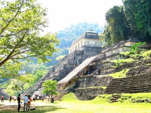 你不知道的墨西哥司机，简直了。。。