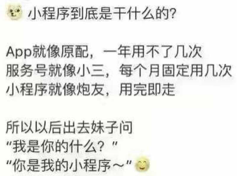 微信小程序和抖音小程序,微信小程序与支付宝小程序