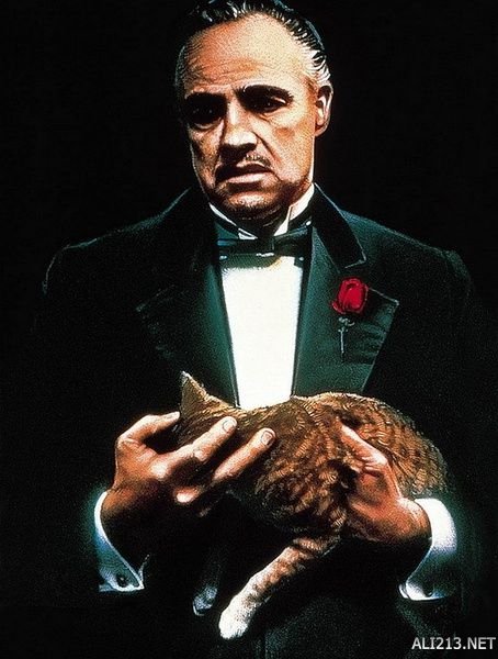 影史最伟大的十部电影解析,影史十大经典电影